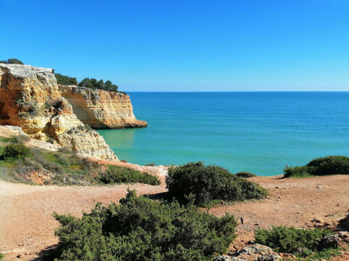 ホテル The Portuguese Element ファロ エクステリア 写真